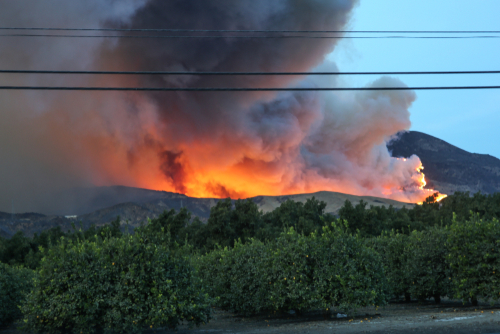 LA Fire Chief Warns of Staffing Shortages Amid Wildfire Crisis